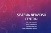 Sistema nervioso central Patología