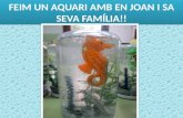 Feim un aquari amb en joan i la seva família
