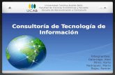 Consultoría de Tecnología de Información