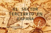 El sector terciario en España