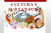 Cultura y subcultura
