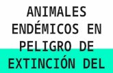 LOS 7 animales endémicos del Perú en peligro de extinción.