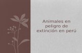Animales en peligro de extinción en Peru