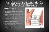 Patología benigna de la glándula mamaria