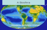 Circulacion de la energía en la biosfera