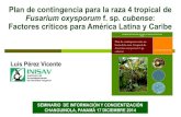Plan de contingencia para la raza 4 tropical de Fusarium oxysporum f. sp cubense: Factores criticos para America Latina y Caribe
