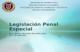 Legislación penal especial