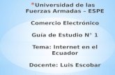 Internet en el ecuador