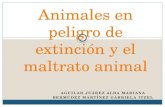 Animales en-peligro-de-extinción-y-el-maltrato