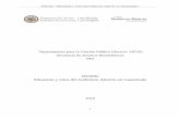 Informe de Gobierno Abierto del Secretario General de la OEA al Presidente de Guatemala