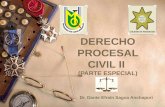 Derecho procesal civil ii (i unidad)