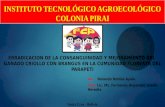 Instituto tecnológico agroecológico colonia pirai