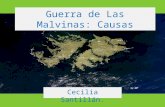 Causas de la Guerra de Las Malvinas -Cecilia santillan
