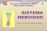 Sistema nervioso 6to chanel