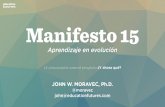 Manifesto 15, ¿y ahora que?