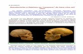 N 20160218 neandertales y sapiens un romance de  hace cien mil años