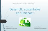 Desarrollo sustentable chiapas