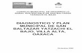 diagnostico y plan municipal de san baltazar yatzachi el bajo, villa ...