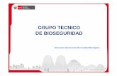 GT Bioseguridad
