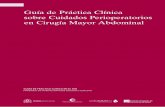 Guía de Práctica Clínica sobre Cuidados Perioperatorios en Cirugía ...
