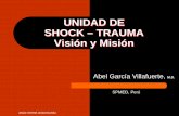 UNIDAD DE SHOCK – TRAUMA Vision y Mision