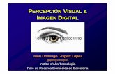 PERCEPCIÓN VISUAL & IMAGEN DIGITAL