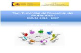 Plan Provincial de Formación del Profesorado 2016-17Presentado ...