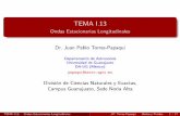 TEMA I.13 - Ondas Estacionarias Longitudinales