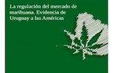 La regulación del mercado de marihuana. Evidencia de Uruguay a ...