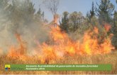 Escenario Mensual Incendios Forestales Noviembre 2016 ECUADOR