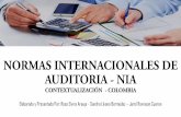 Normas Internacionales de Auditoria - NIA - Contextualización Colombia