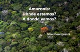 Amazonia, donde estamos a donde vamos?