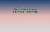 13. conversion sistemas