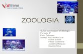 1ª Web Zoologia