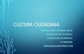Cultura ciudadana Barranquilla