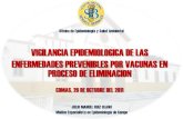 Vigilancia Epidemiológica Integrada de Sarampión y Rubéola