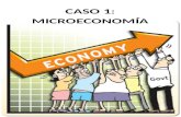 Trabajo final de microeconomía 15
