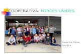 Presentación cooperativa forces unides