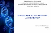 Nucleótidos diapositivas biologia
