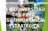 Biodiversidad Del Peru y su Importancia 2015