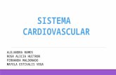 Sistema cardiovascular embriologia
