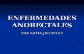 23 enfermedades-anorectales4823