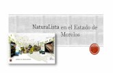 Naturalista Biodiversidad Morelos 2017