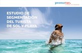 Estudio segmentacion turista sol y playa Canarias