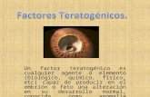 Factores teratogenicos