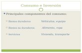 Consumo e-inversion-1