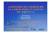 Auditoría de Calidad en Uruguay. Fase I