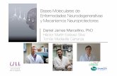 Dr. Daniel Marcelino y Ldo. Héctor Martín - Bases Moleculares de Enfermedades Neurodegenerativas y Mecanismos Neuroprotectores