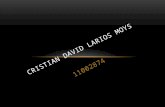 Cristian david larios moys