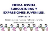 Sustentación Neiva Joven- Subculturas y Expresiones Juveniles.